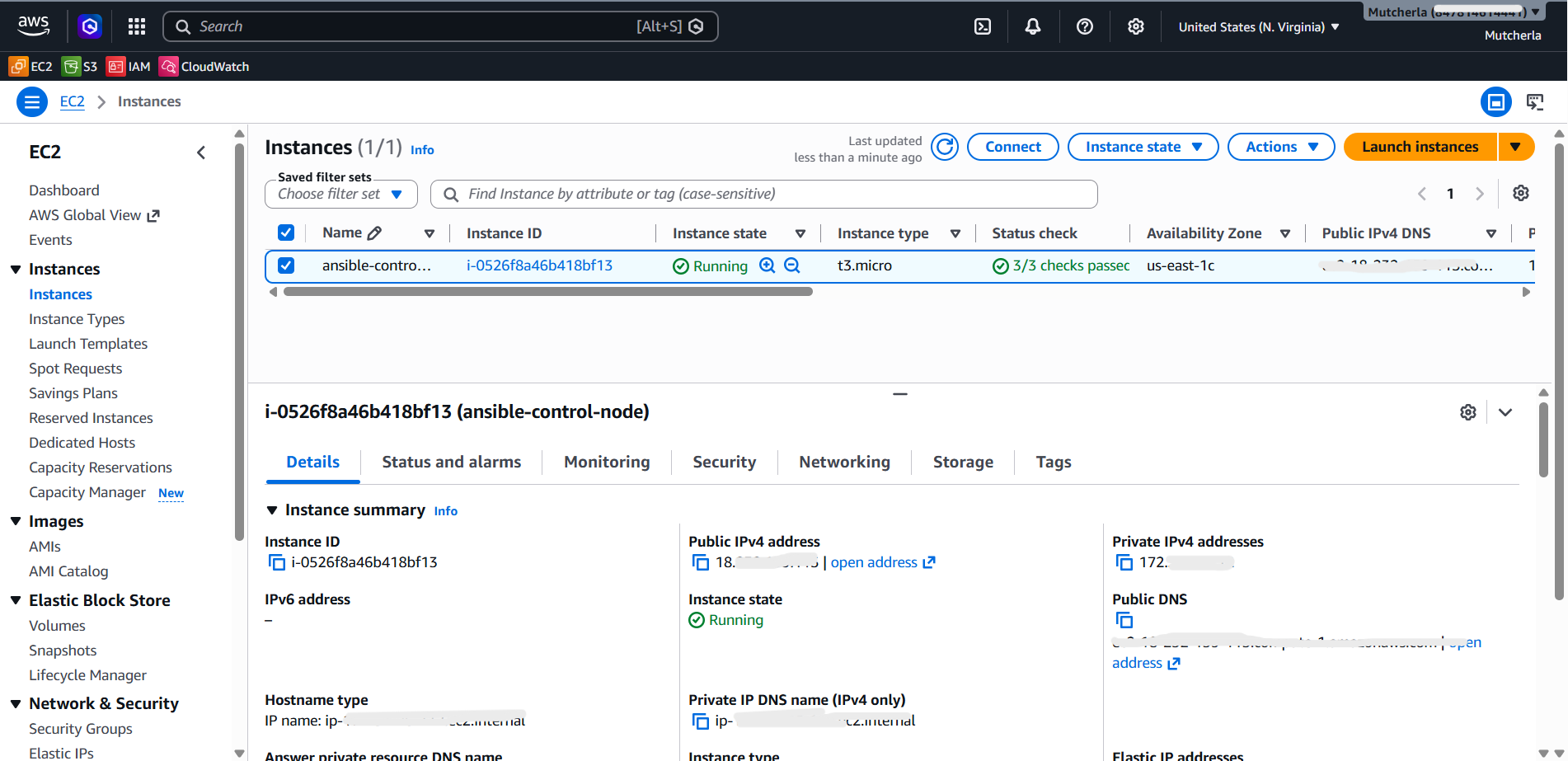 What is Amazon EC2? Launching Your First Virtual Server