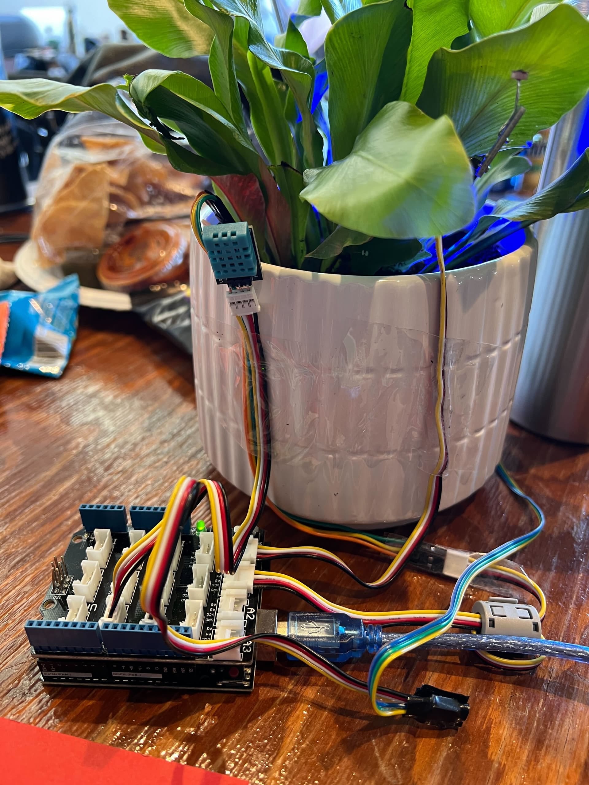 BloomAI Smart Plant Monitoring System