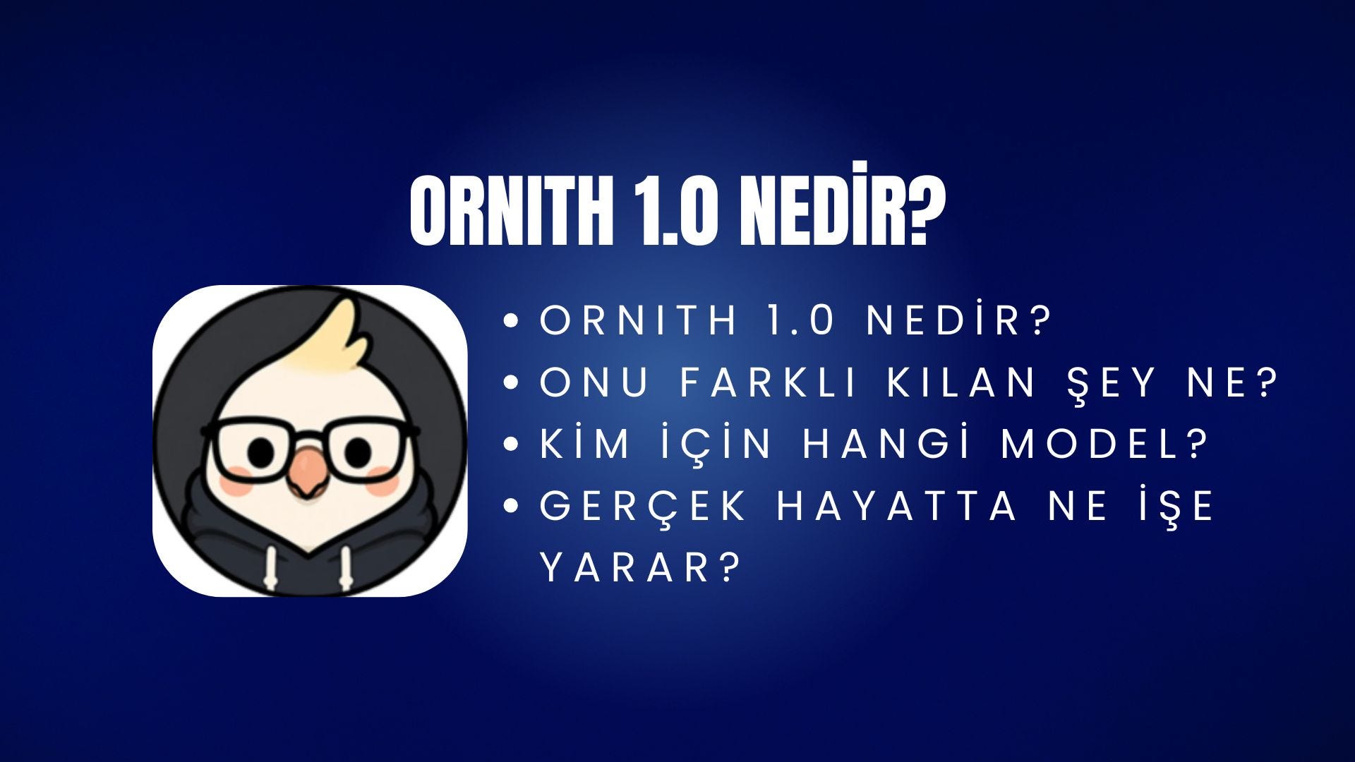 Ornith 1.0 Nedir?