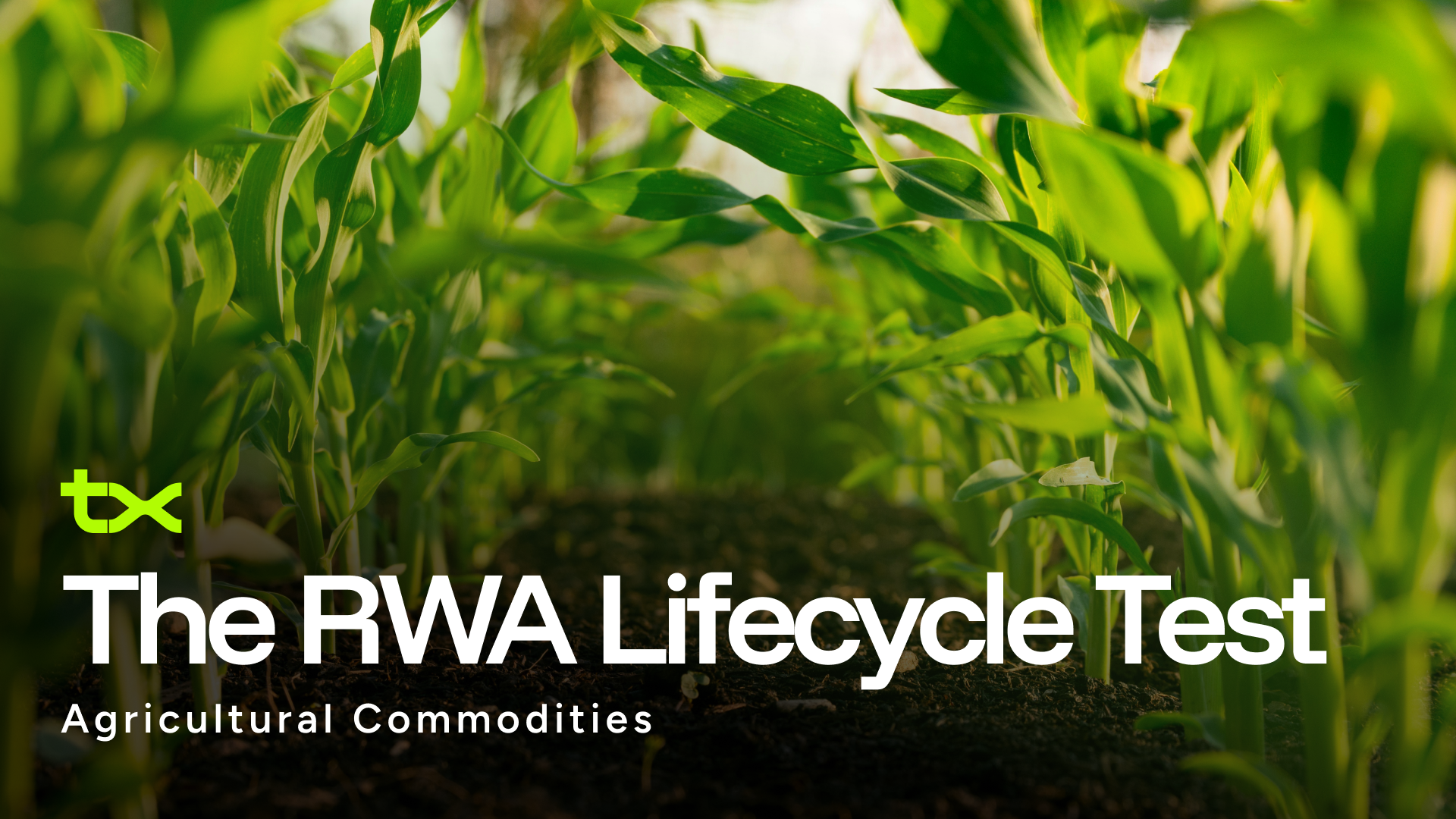The RWA Lifecycle Test: Agricultural Commodities