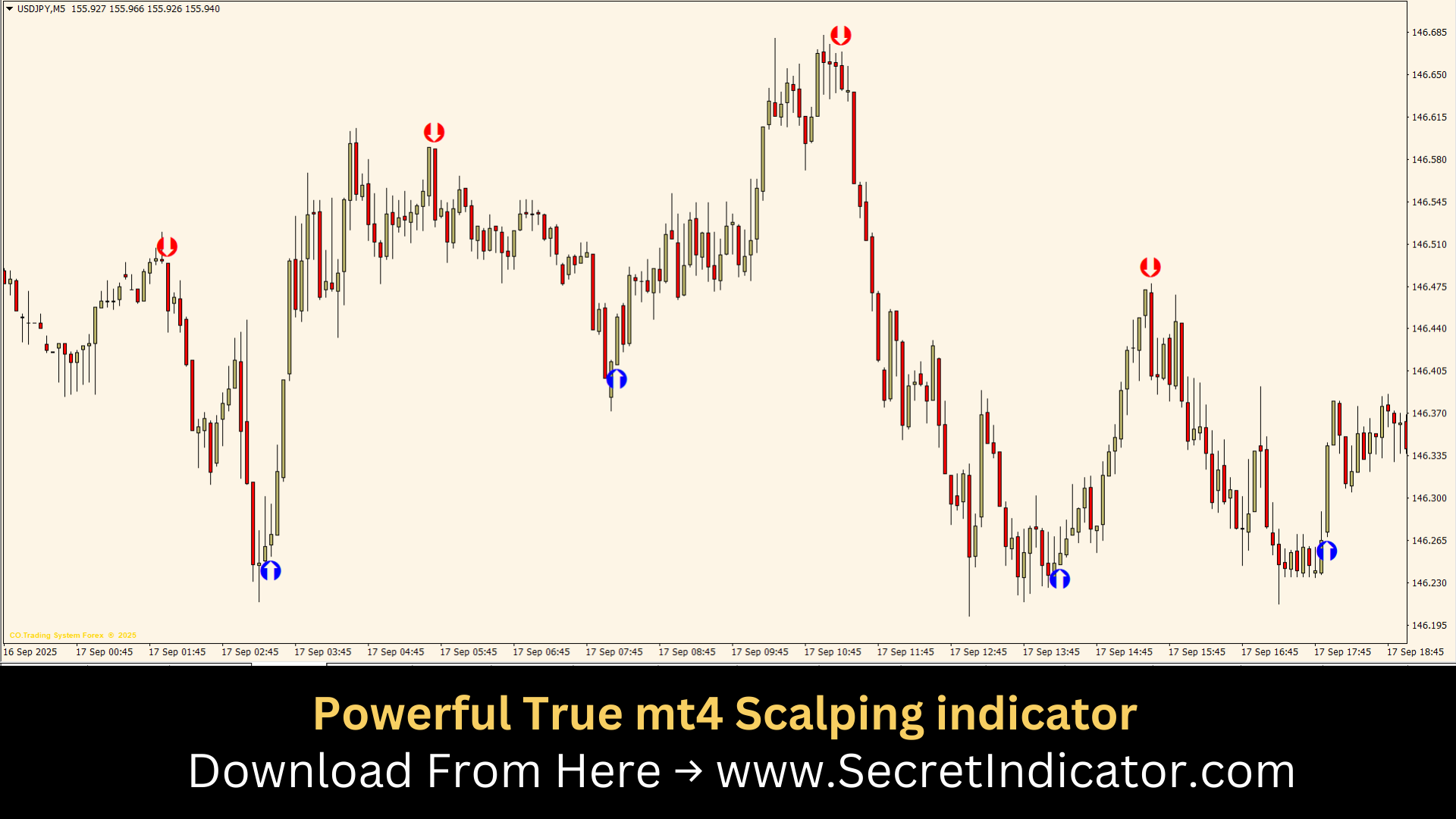 Introduction to the Forex Market and How It Works