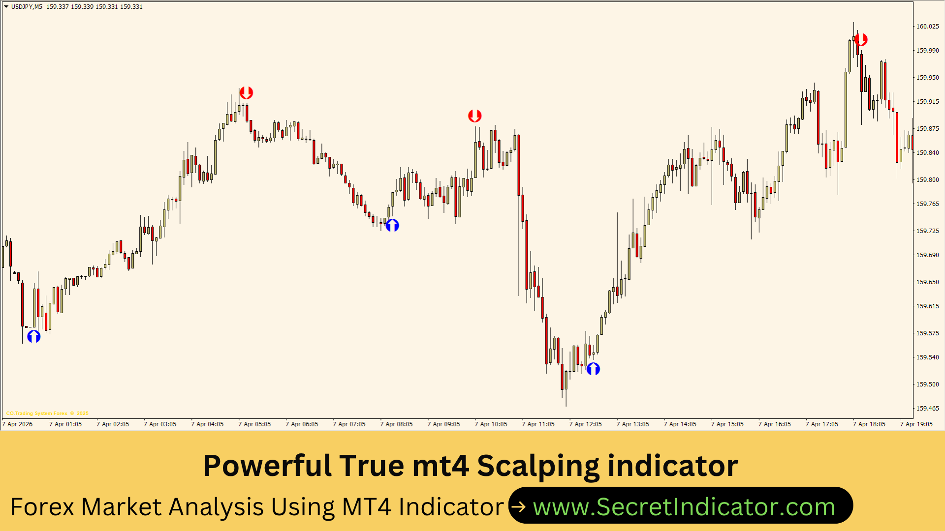 Smart Money Forex Strategy Using Non Repainting Indicator