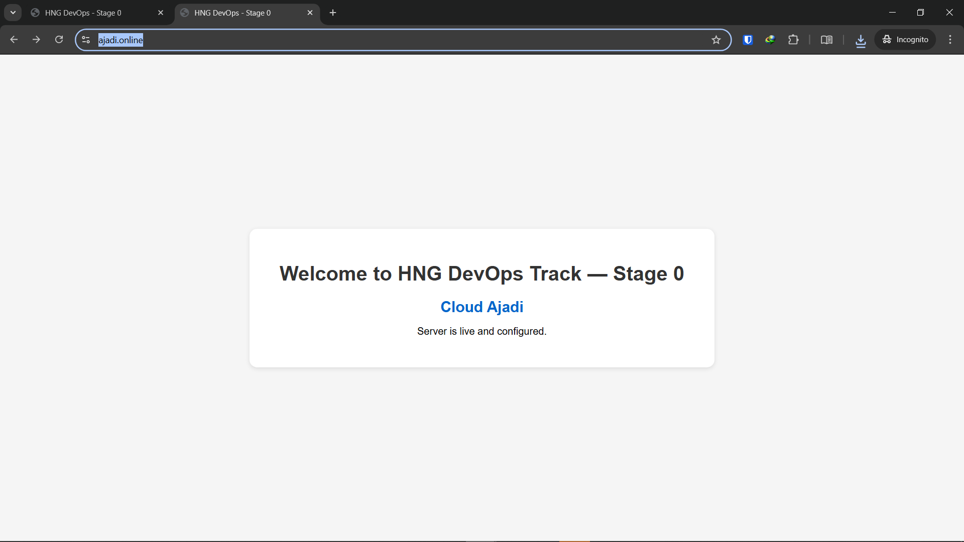 From Zero to Secured: A Step-by-Step Breakdown of HNG DevOps Stage 0