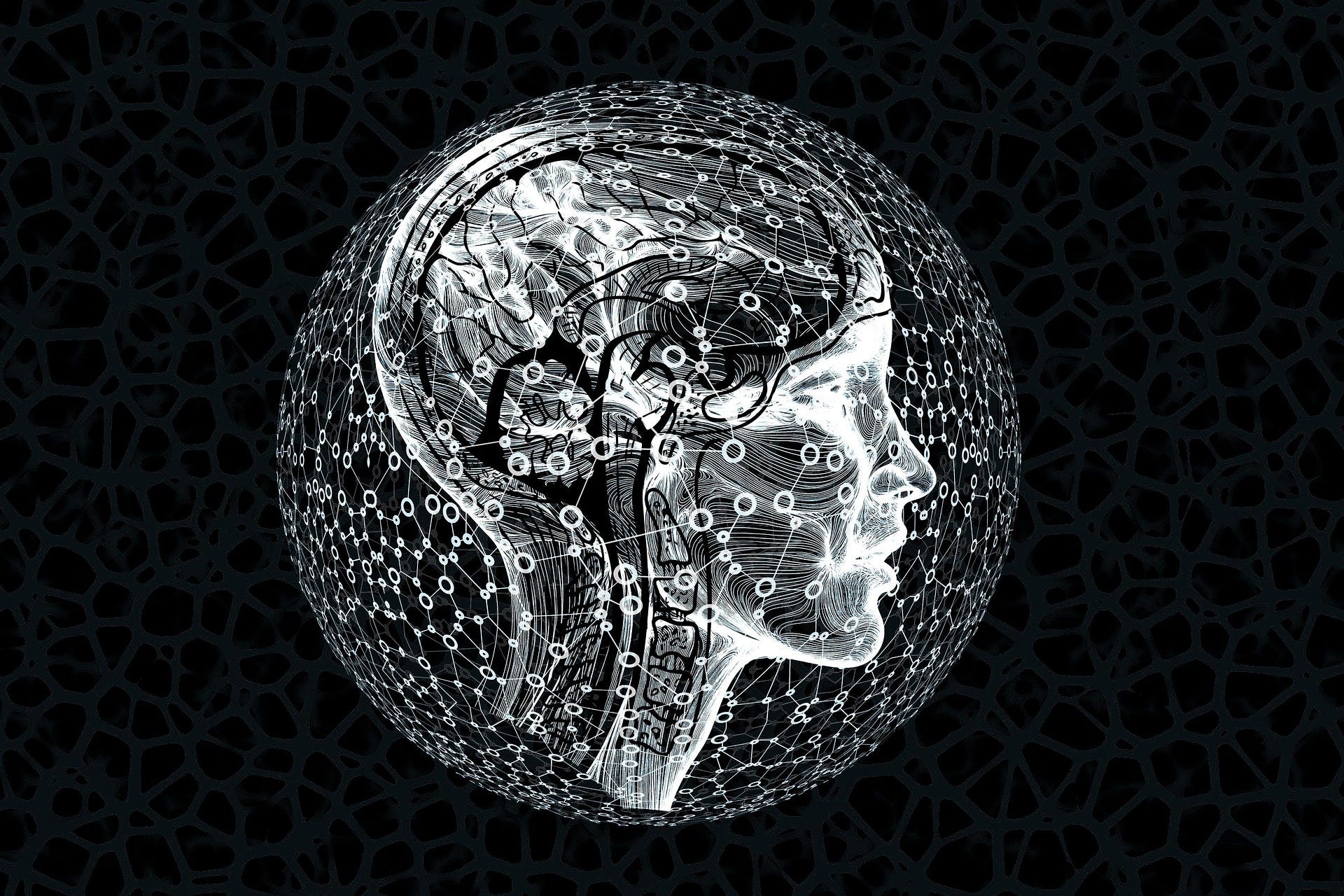 I Used to Write for Algorithms — Then I Wrote Something Real