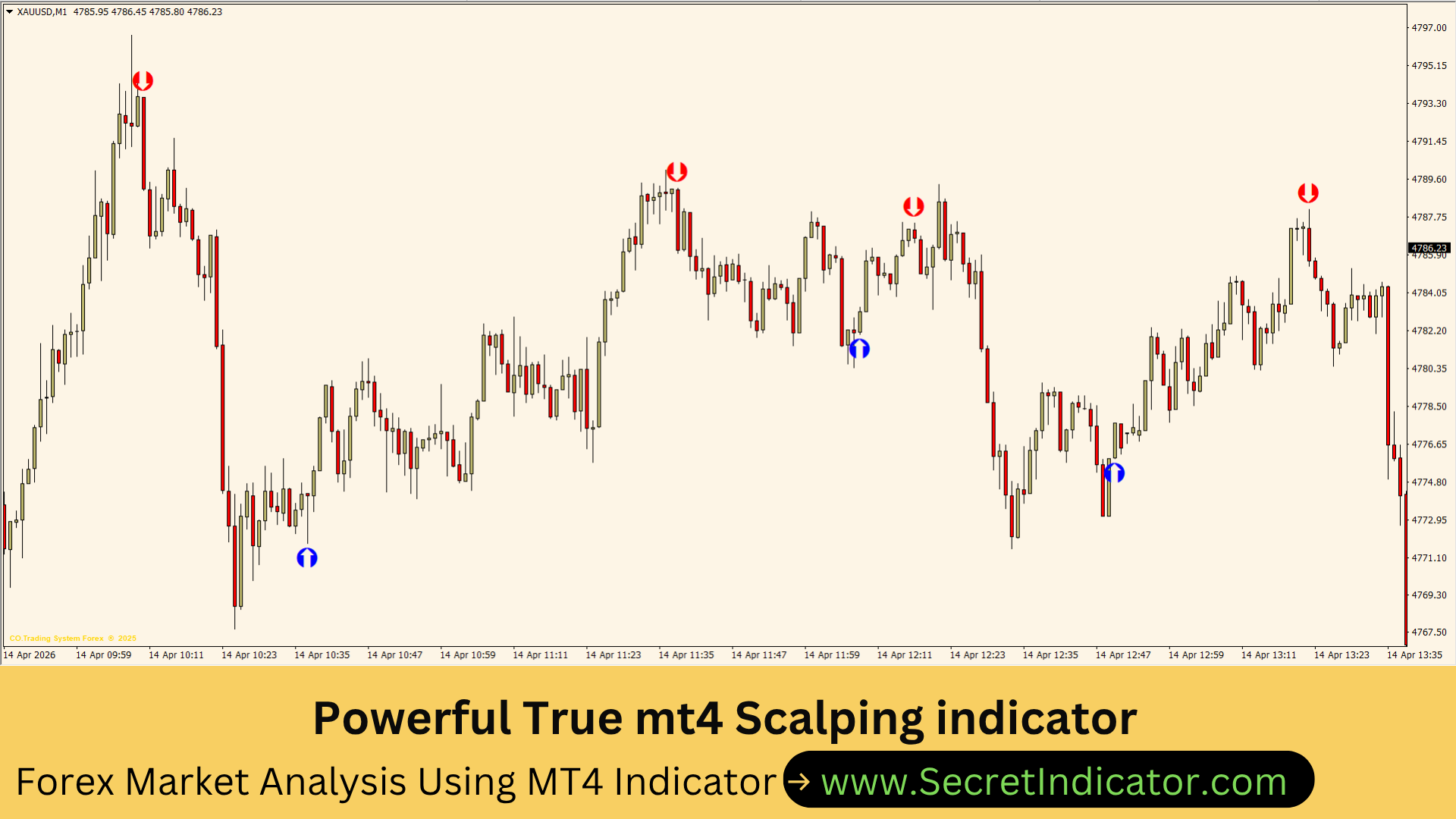 Accurate Forex Strategy Using Non Repaint Indicator Explaine