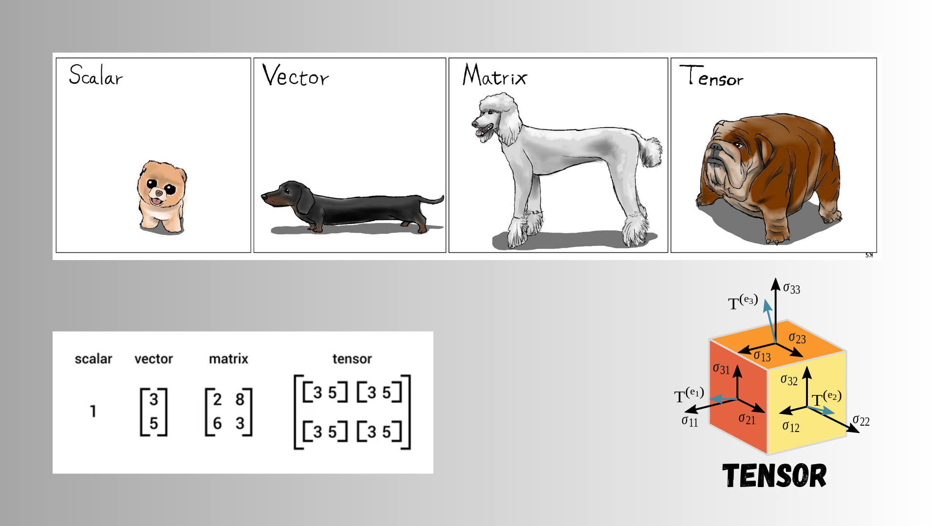 Scalars Vectors Matrices & Tensor in a minute