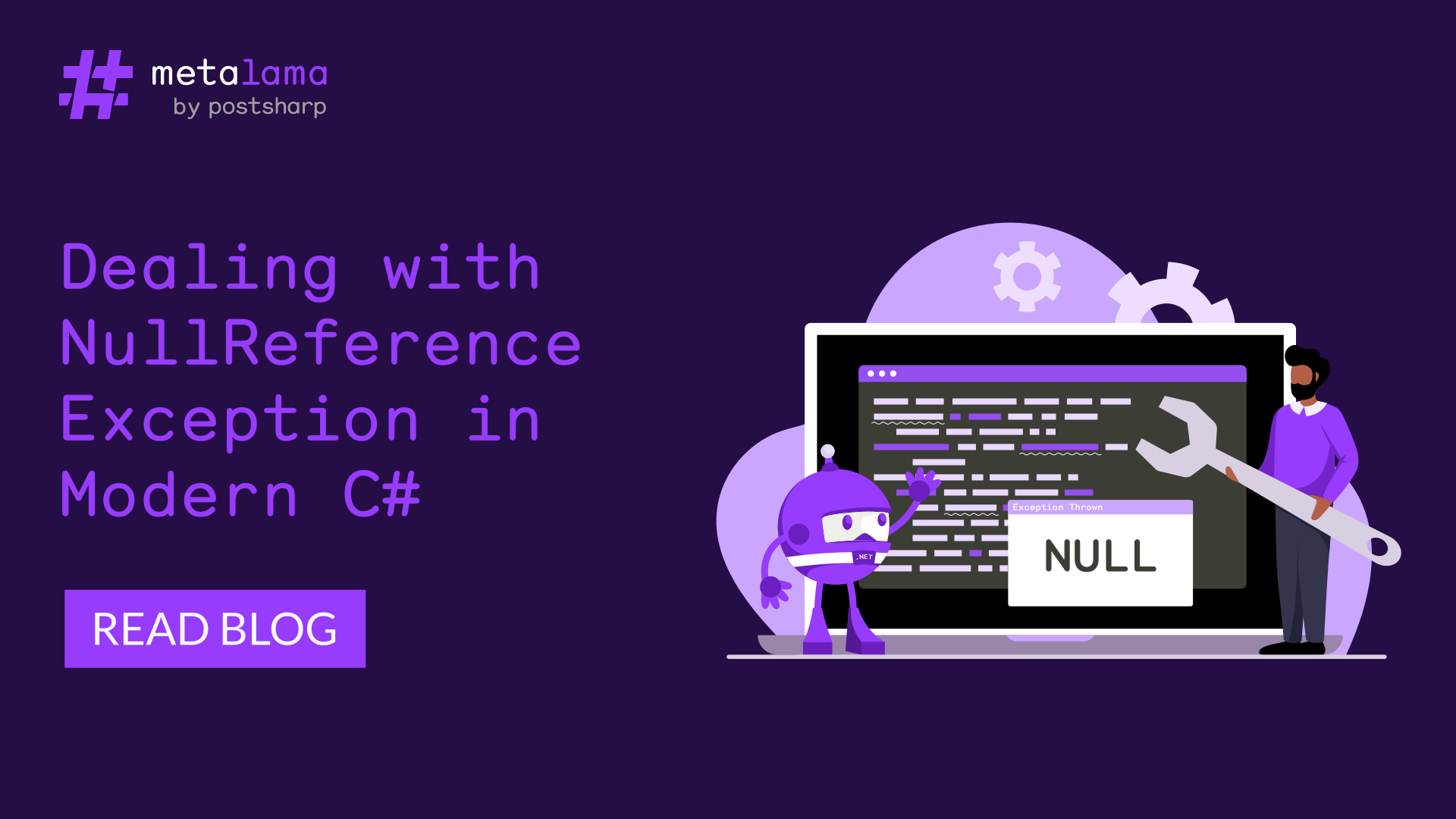Dealing with NullReferenceException in Modern C# [2024]