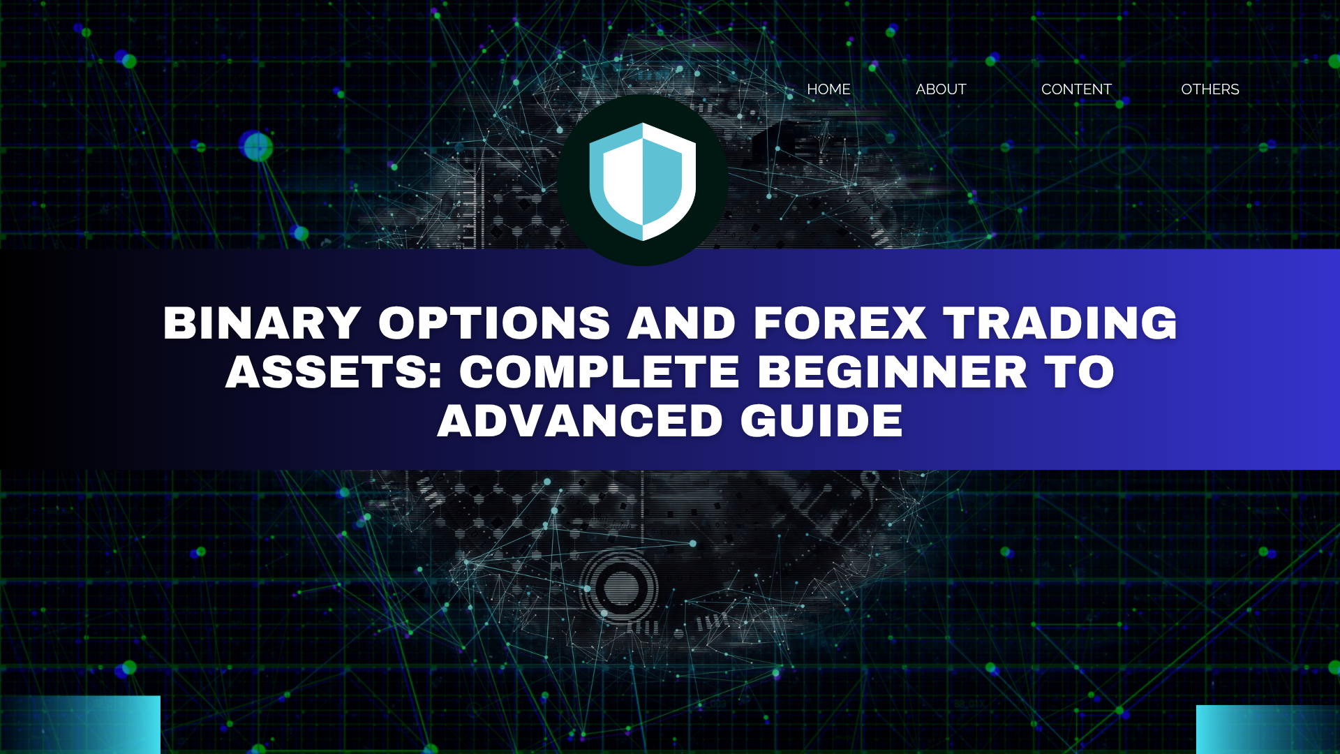 Binary Options and Forex Trading Assets: Complete Beginner to Advanced Guide
