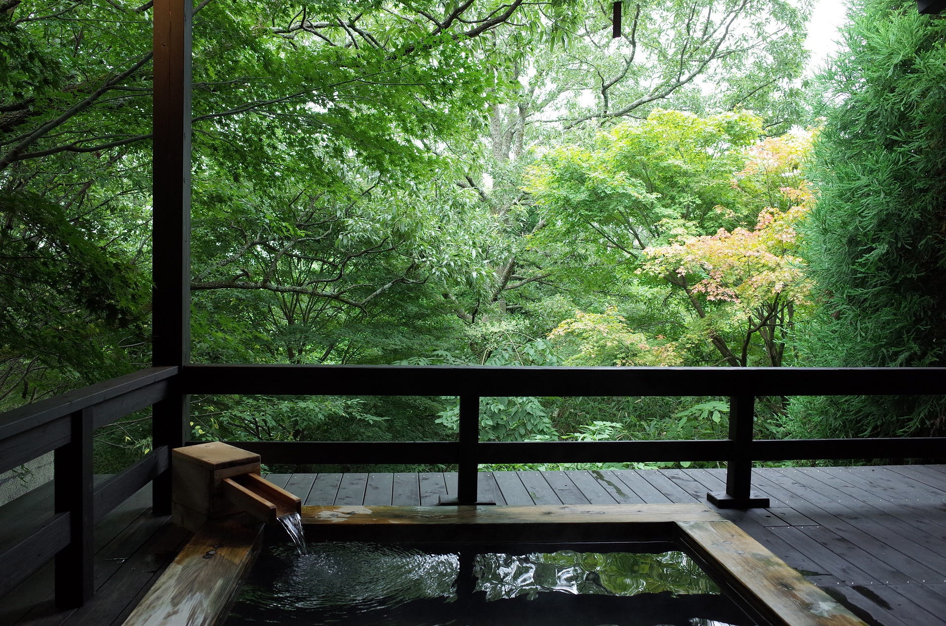 The Ryokan Factor: A Guide to the Hot Spring Resorts of Kyoto
