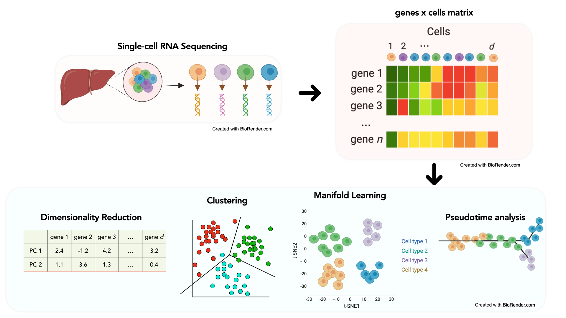 Machine Learning in Genomics