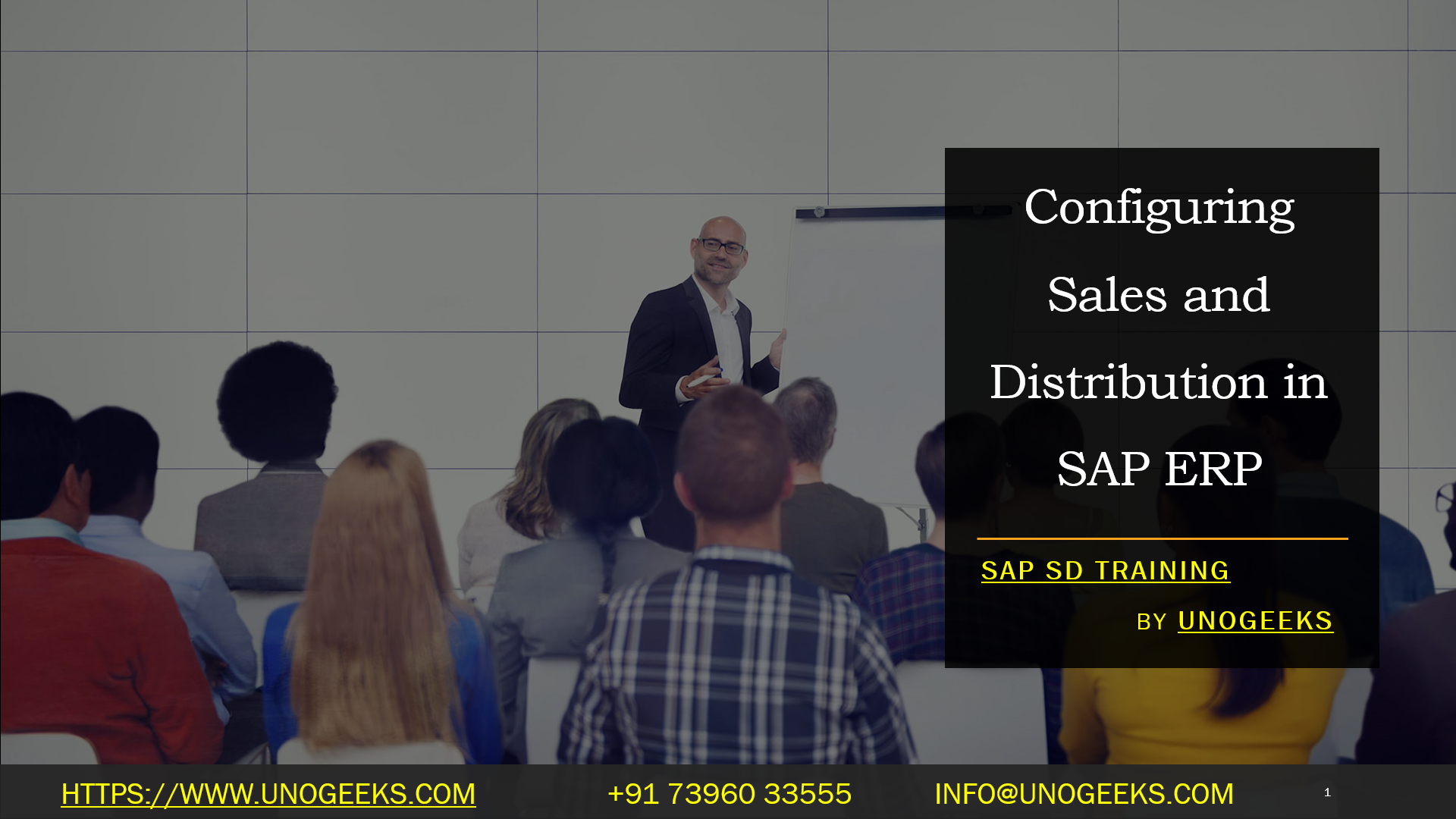 Configuring Sales and Distribution in SAP ERP