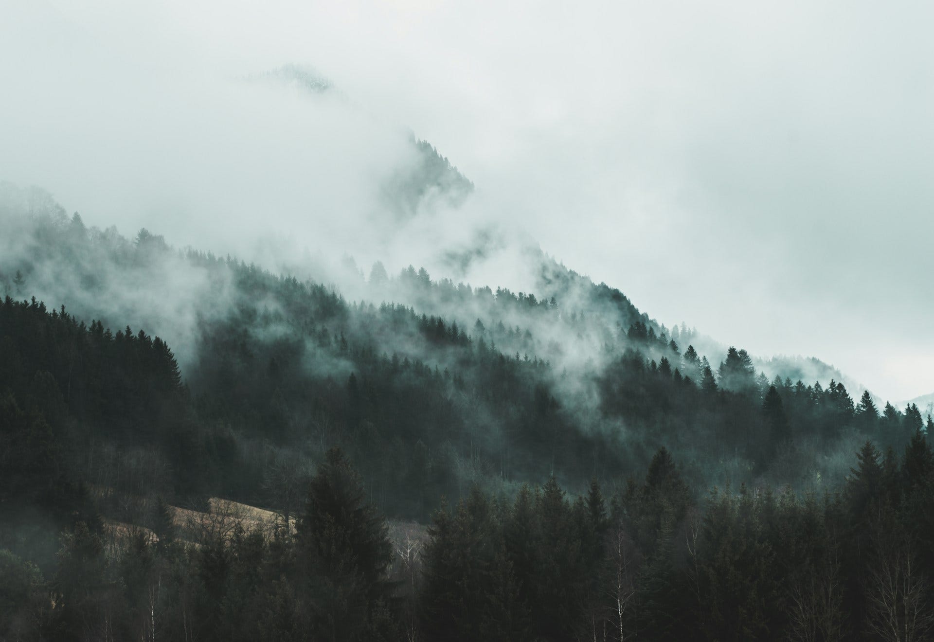 Wazuh Ansible Series Part 4: Managing Wazuh Agent Configuration Profiles with Ansible