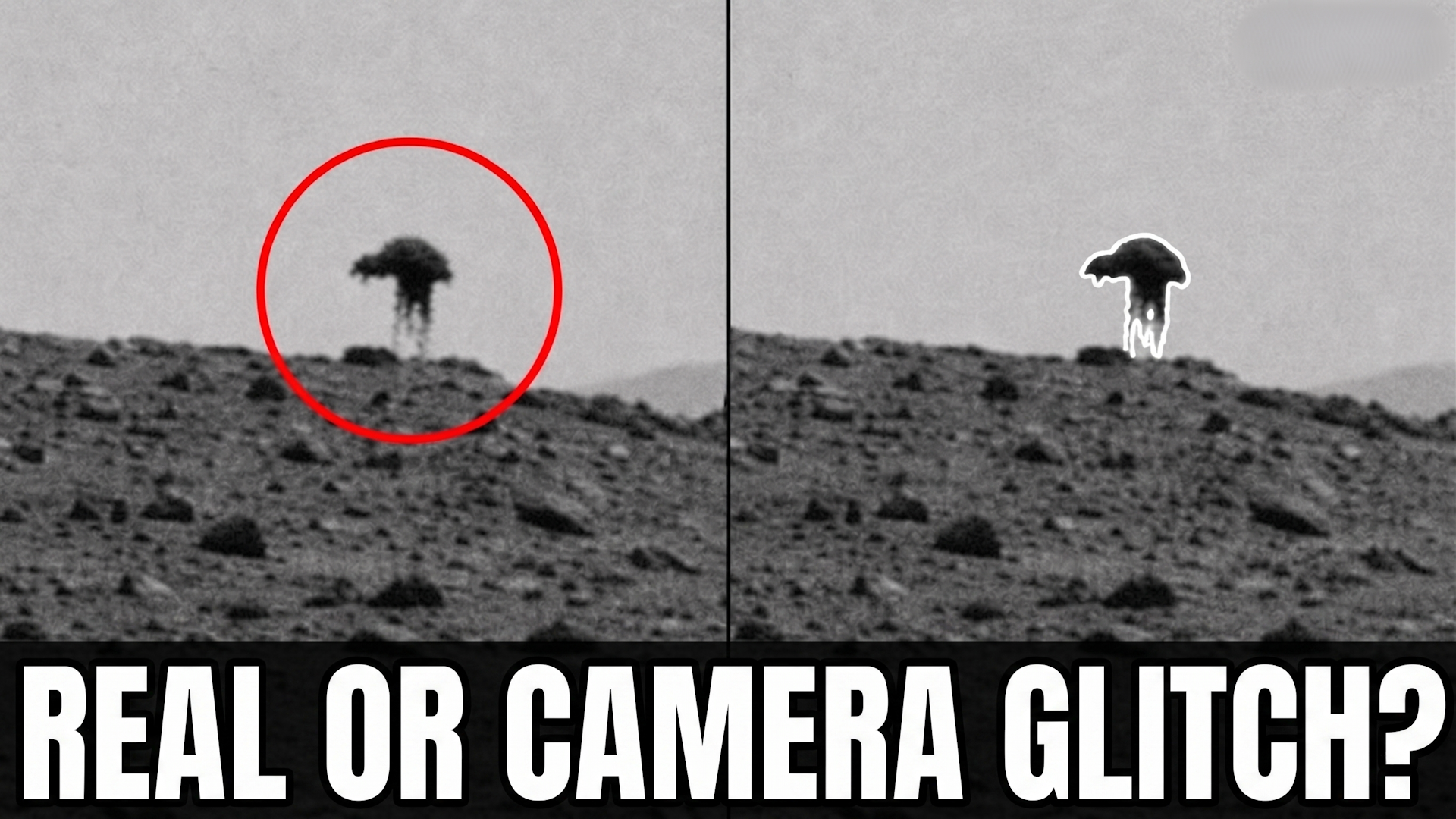 NASA’s Curiosity Rover Photographed Something on Mars That Looked Like