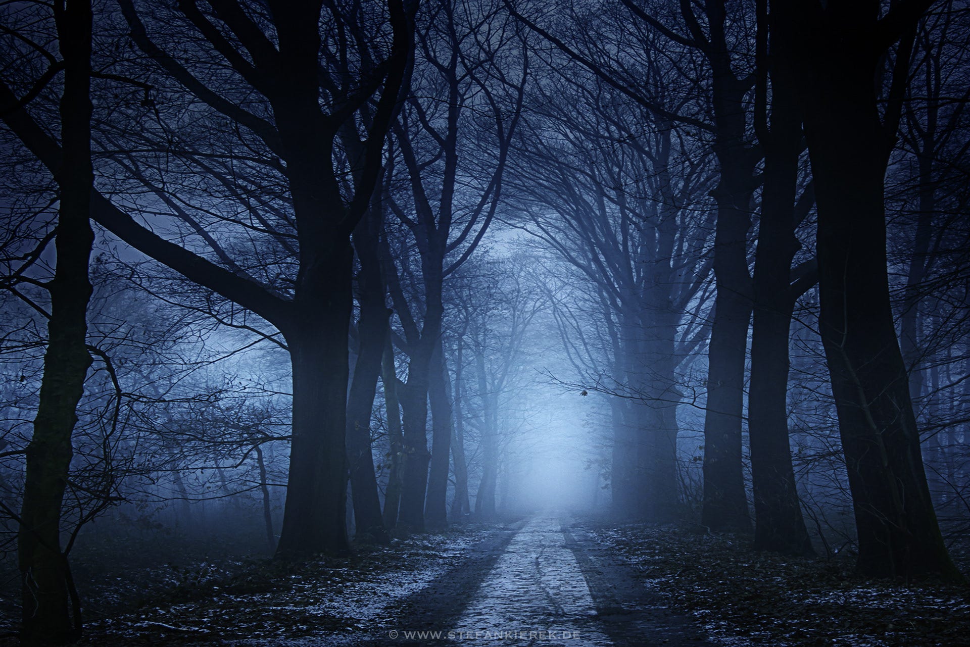 Java Collections In Dark Forest