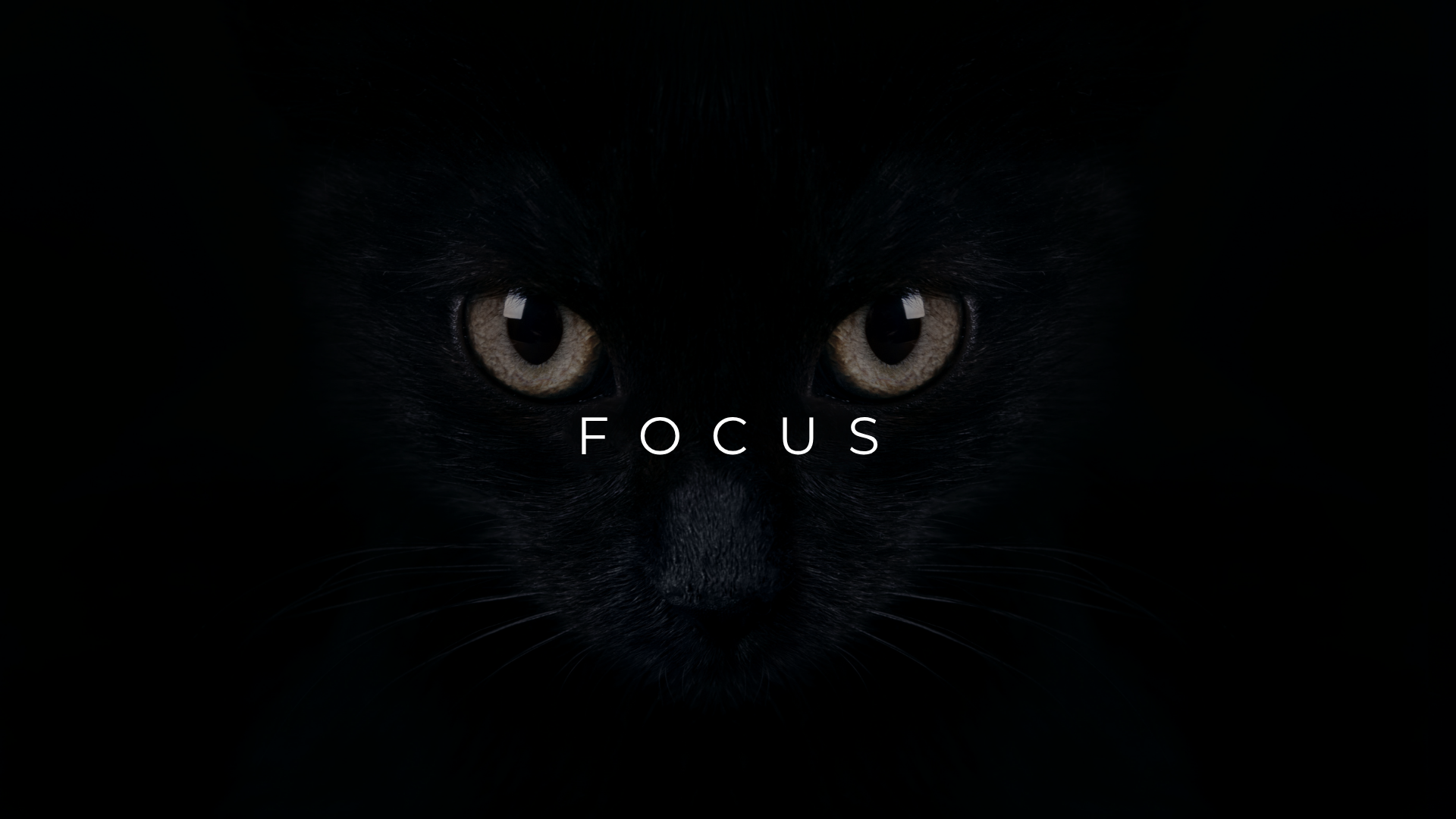 FOCUS: How to recall or focus on things easily