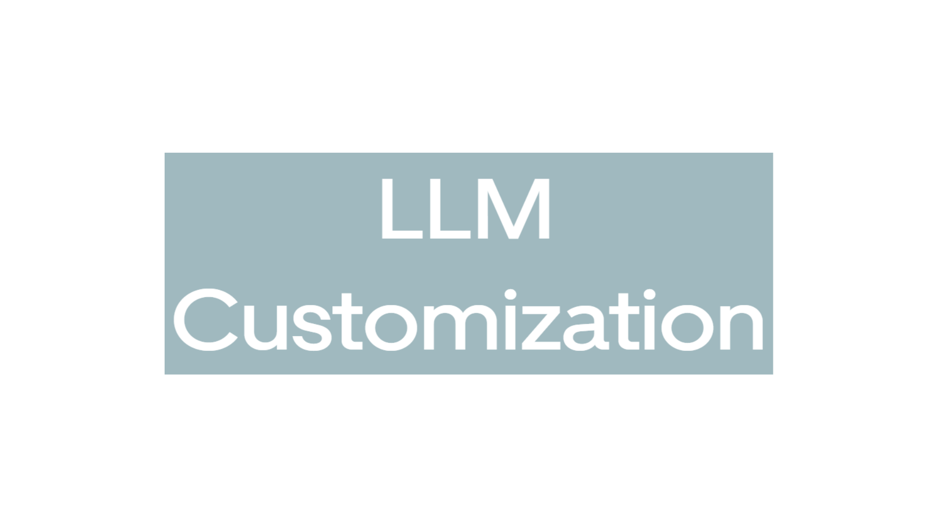 LLM Customization
