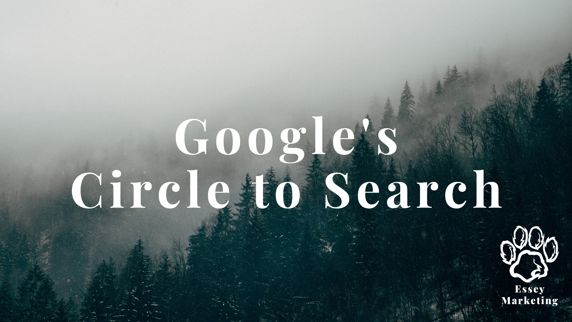 Google’s Circle to Search