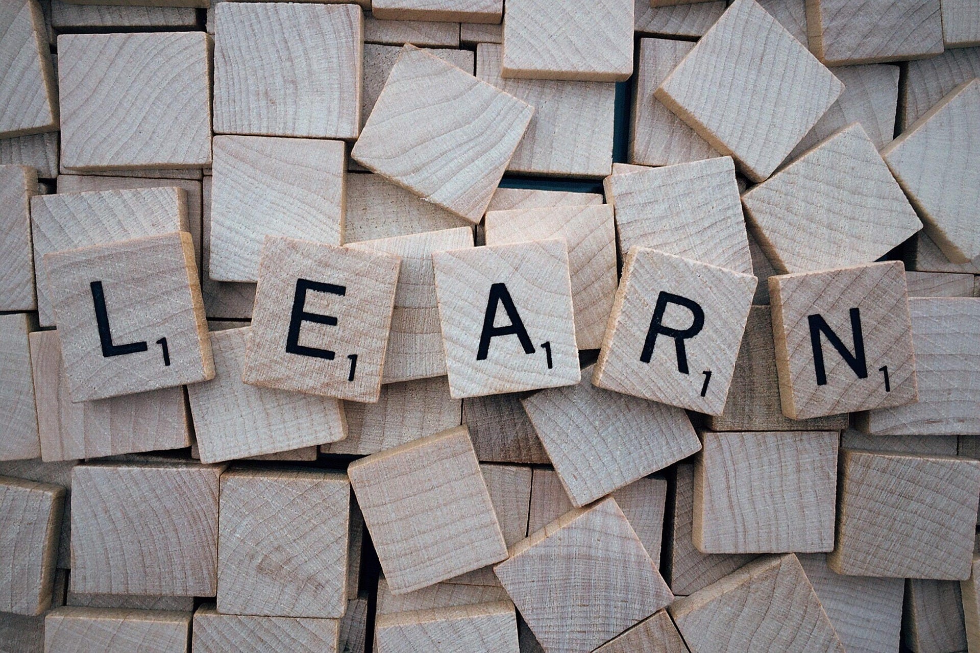 Is “Learn-to-Earn” Sustainable?