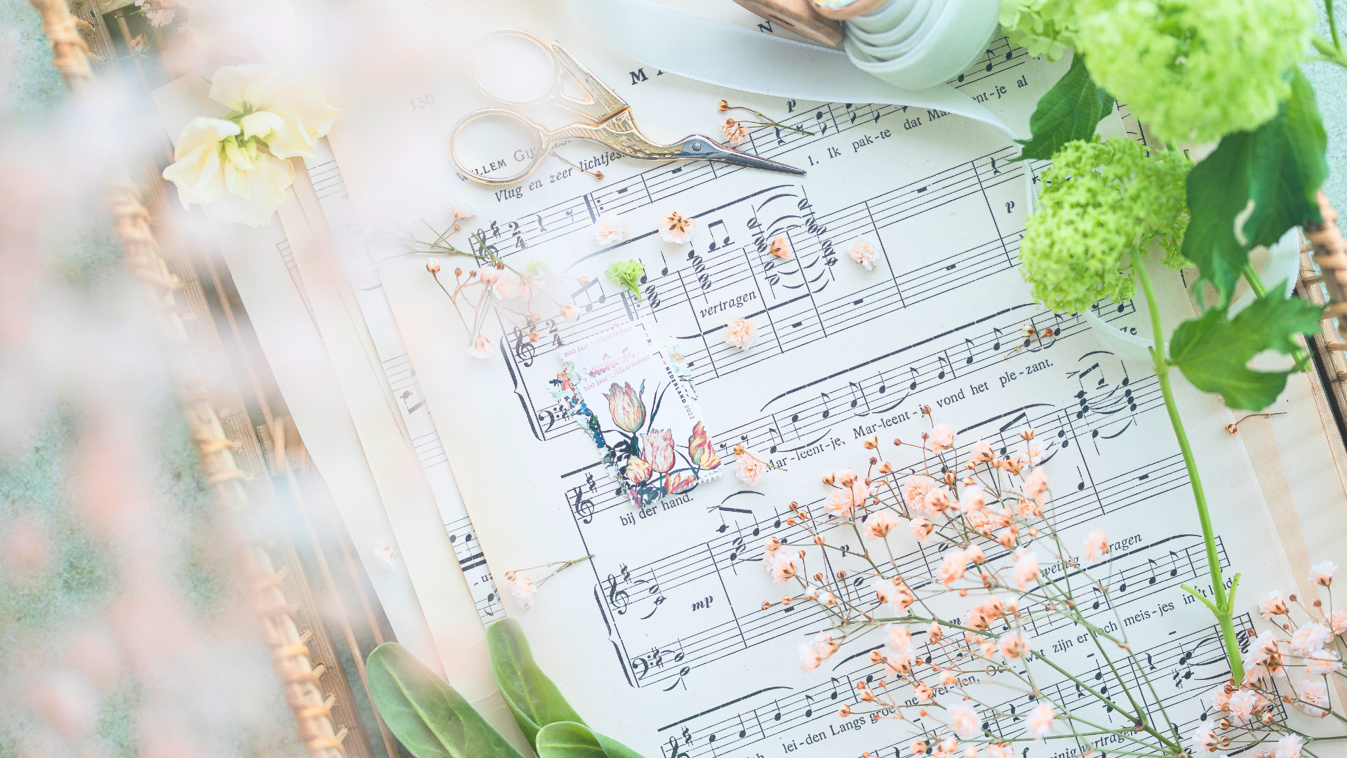You know what notes to collect from the noise to compose your music