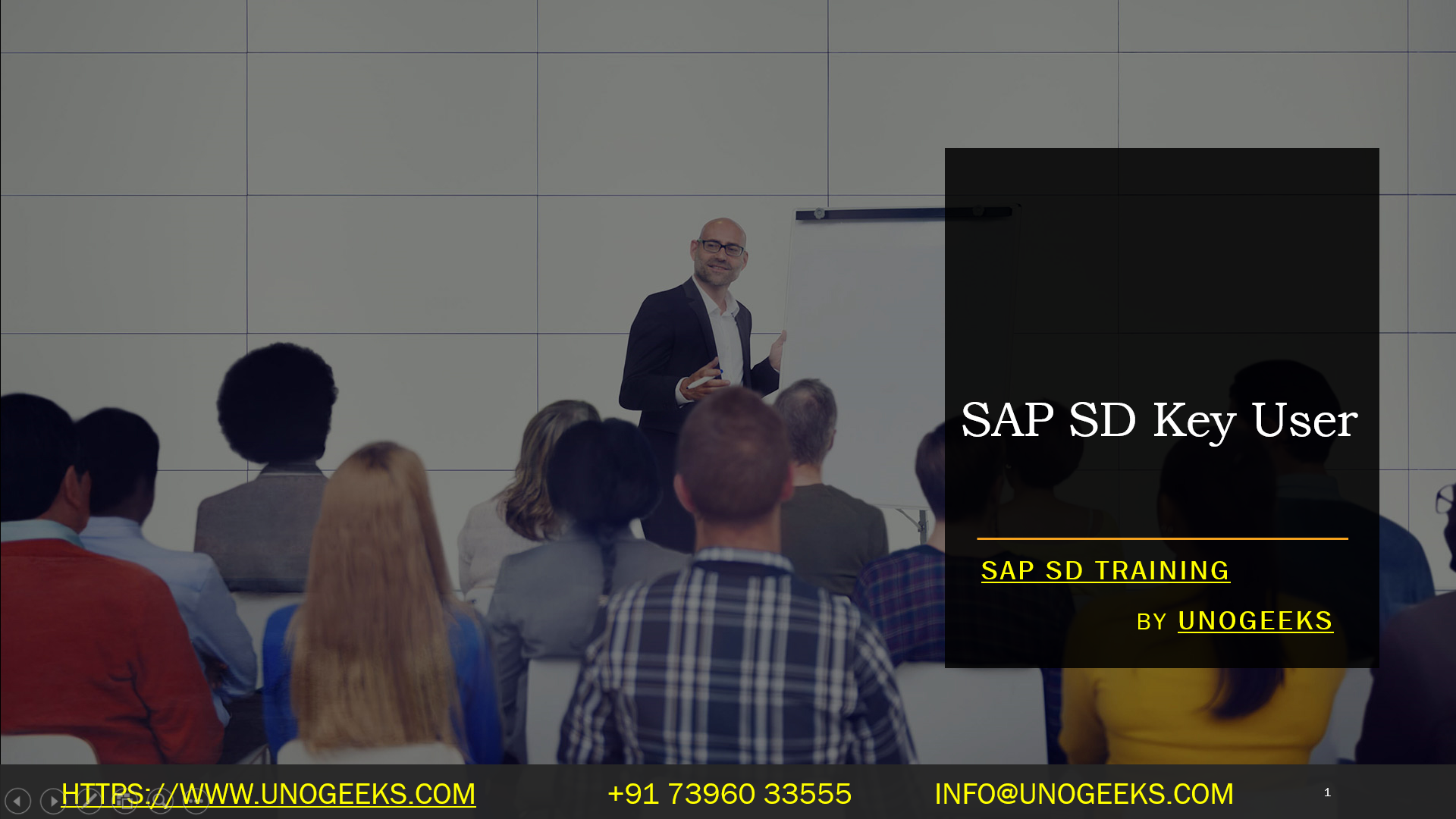 SAP SD Key User