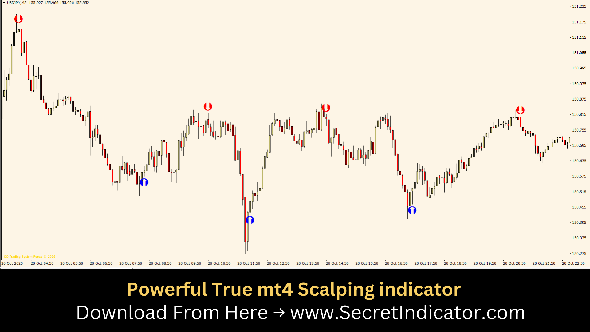 Learning Forex Market Structure and Strategy Overview