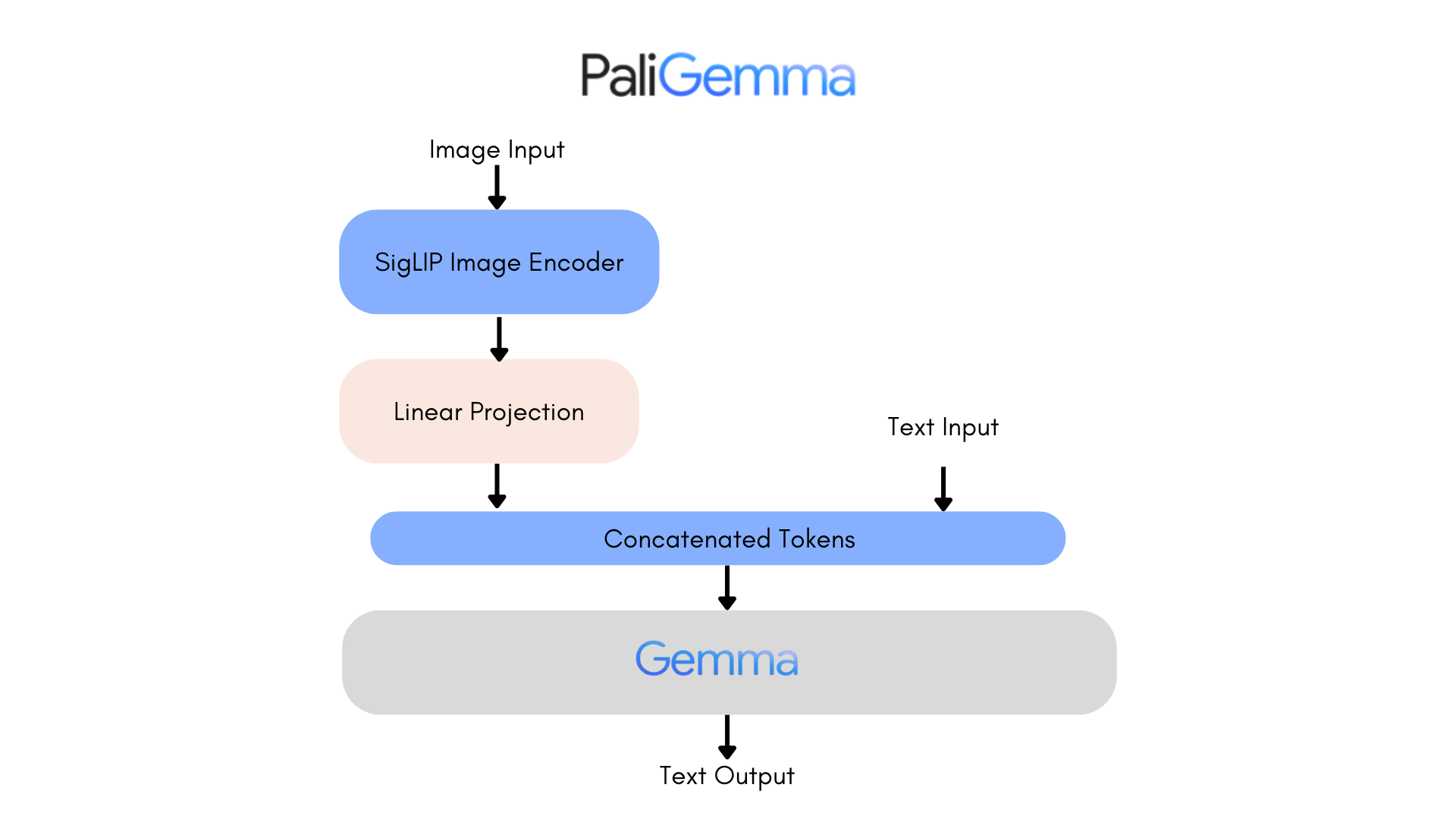 PaliGemma – The All-New Multi-Modal Model From Google: Setup [Locally + On Cloud]: