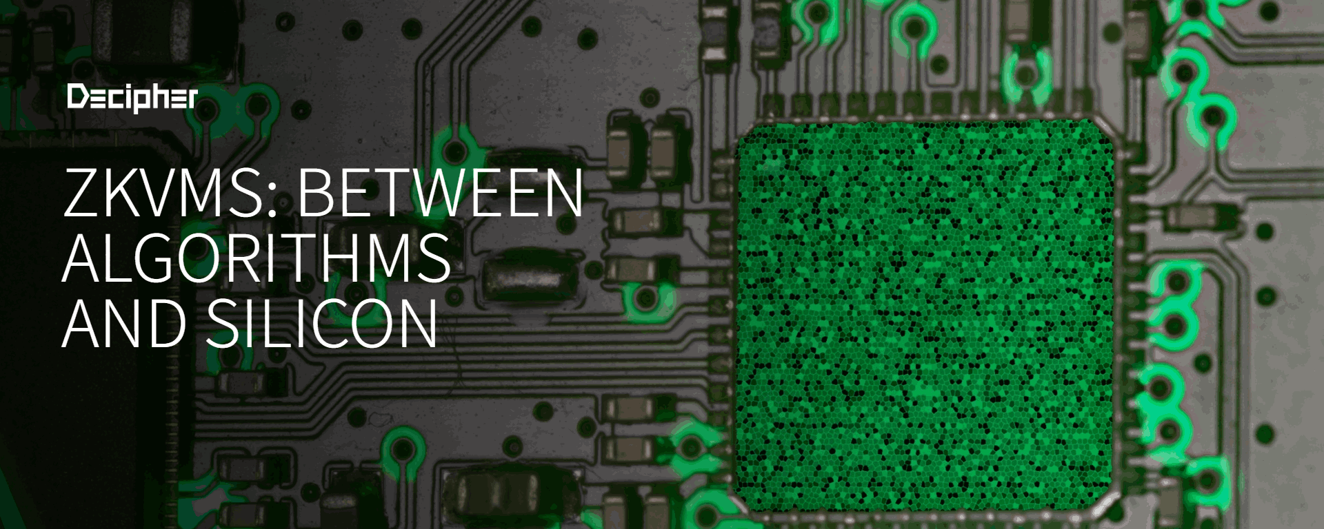 ZKVMs: Between Algorithms and Silicon