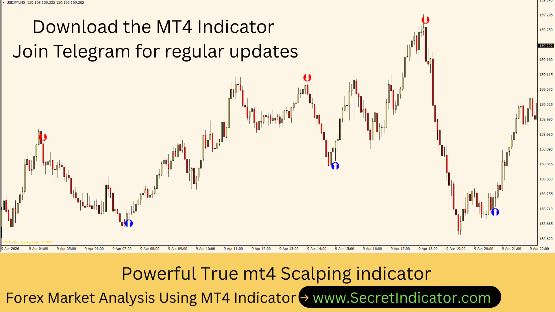 Indicator Strategy for Daily Profit