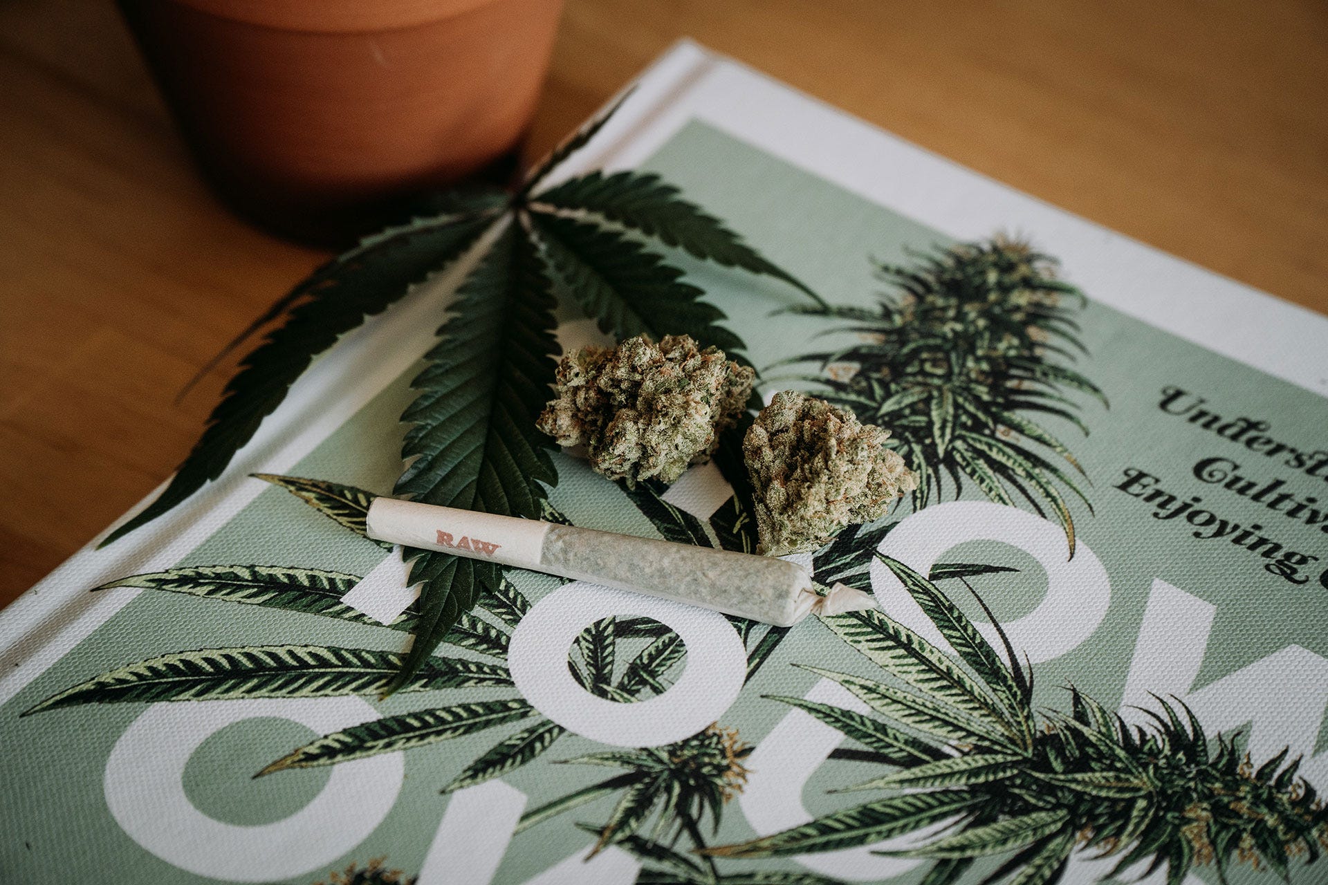 Navigating the Complex World of Cannabis Marketing