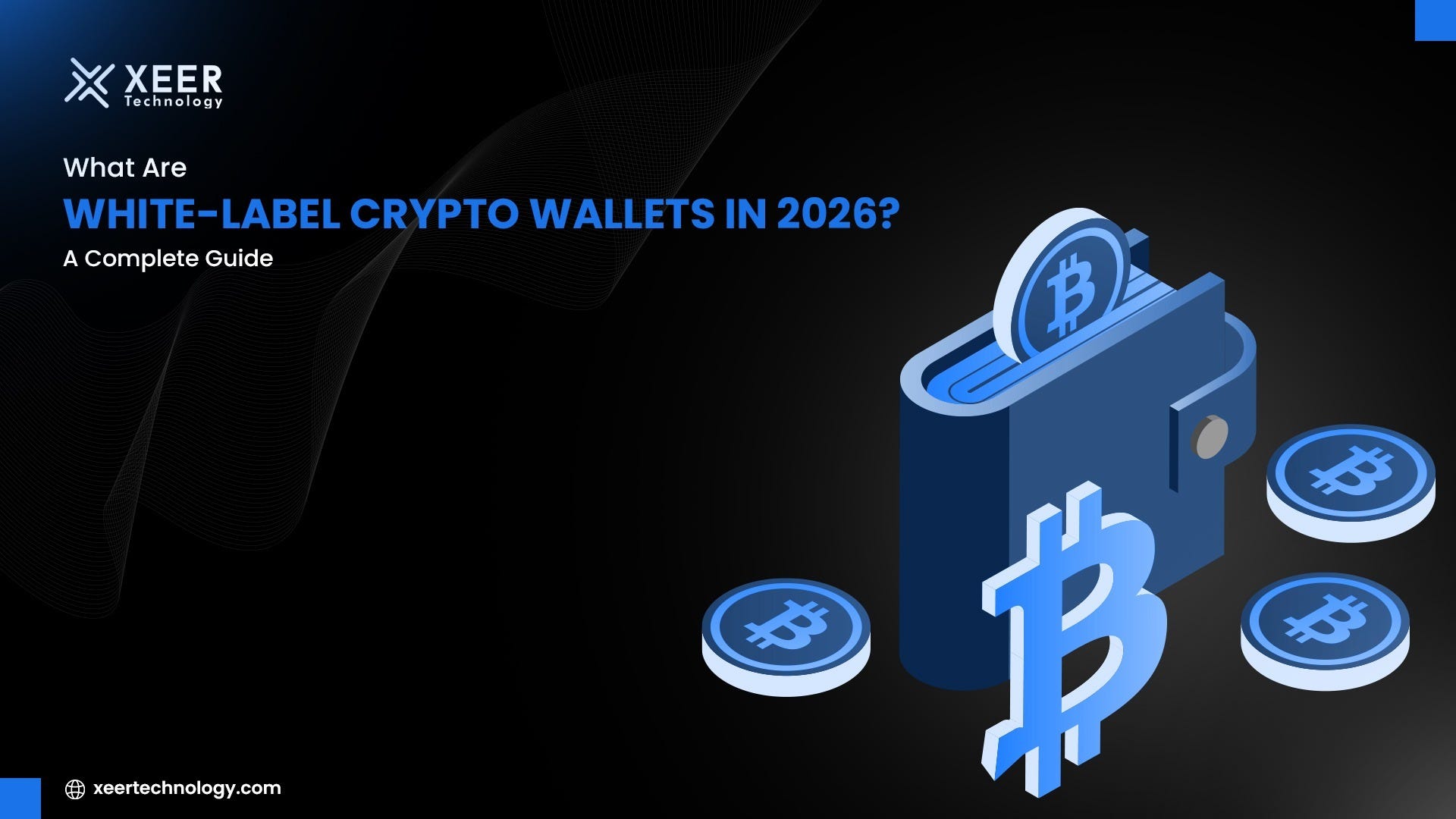 What Are White-Label Crypto Wallets in 2026? A Complete Guide