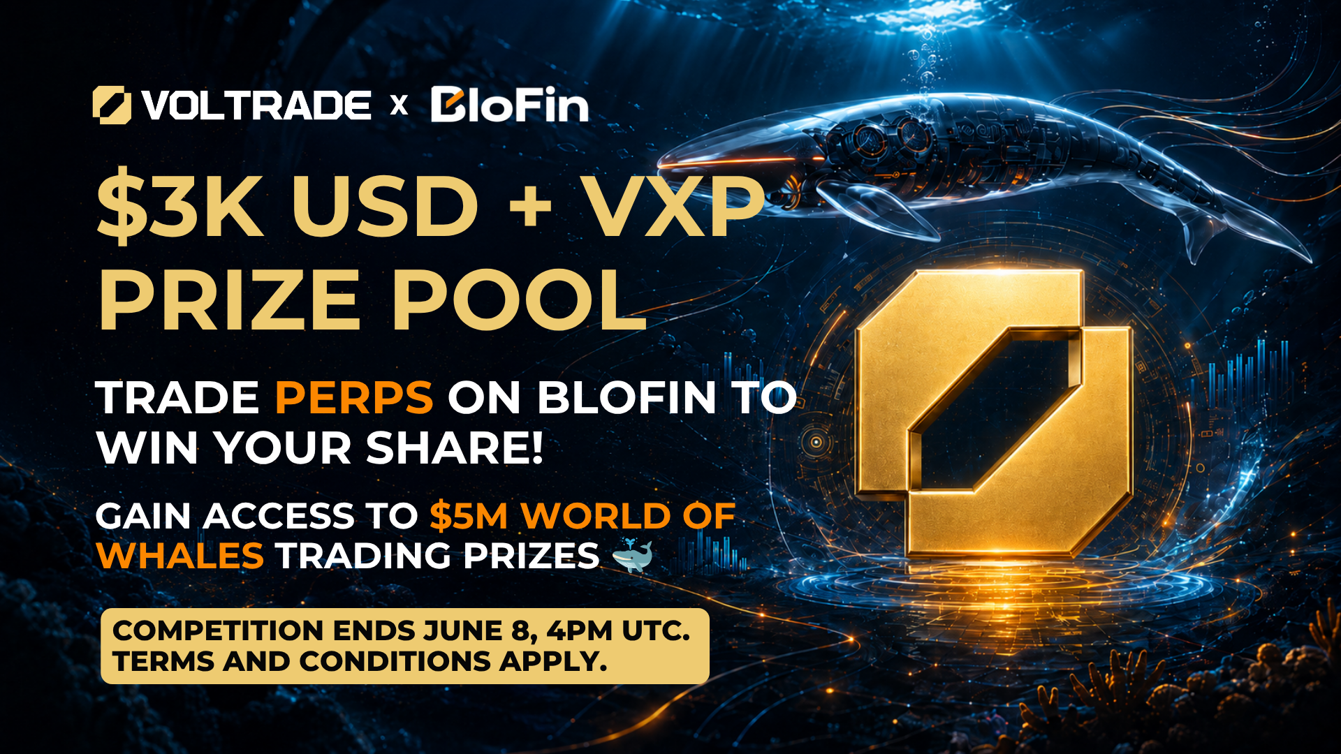 Voltrade x Blofin: $3000 USD War of Whales Team Competition