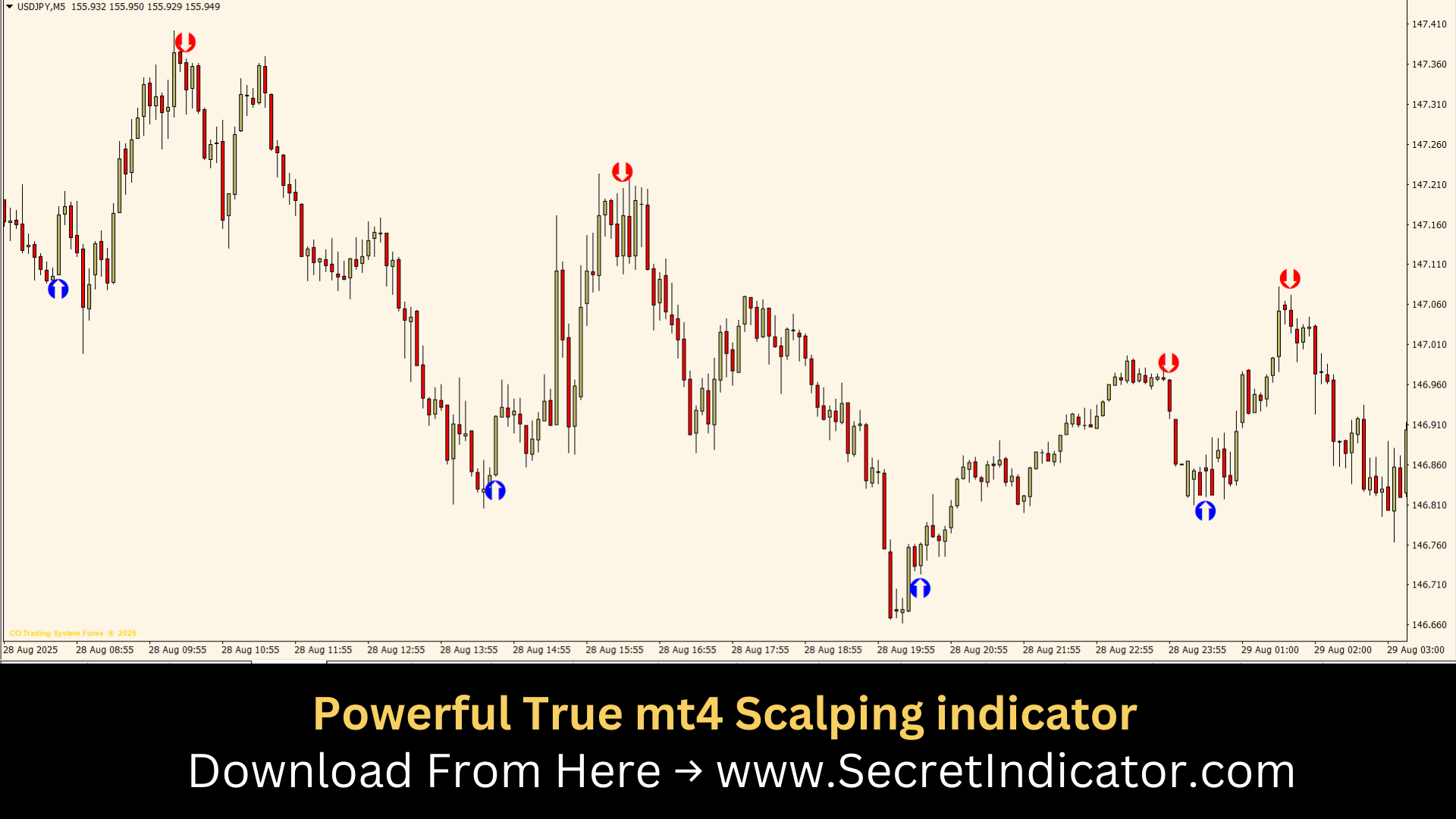 Forex Trading A Beginner’s Guide to Currency Markets