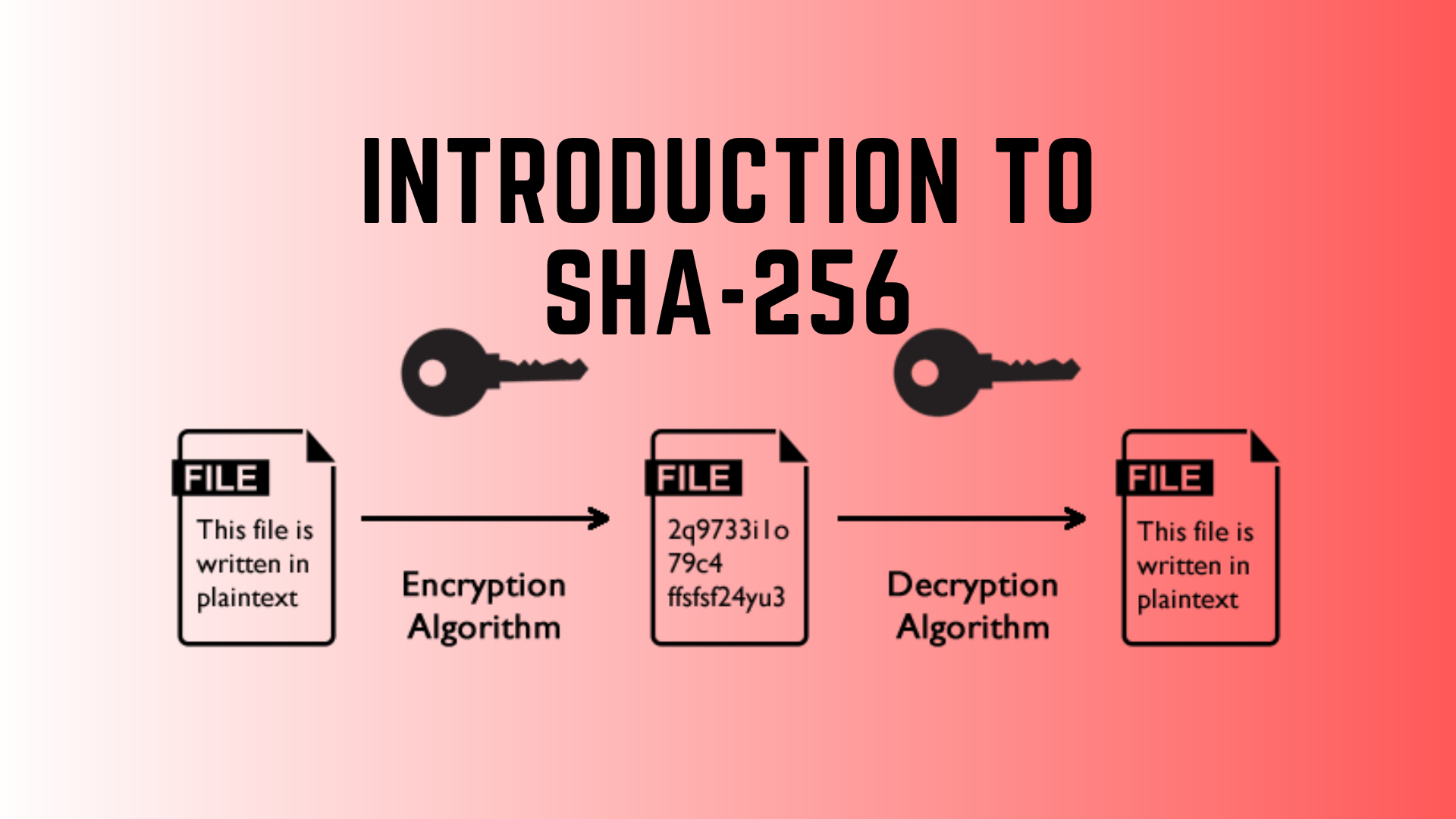 How SHA-256 Hashing Keeps Your Data Safe