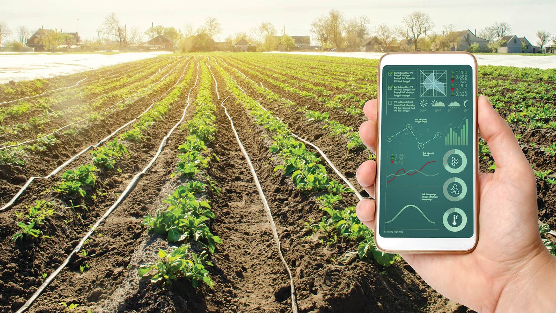 Digital Agriculture: Revolutionizing the Future of Farming