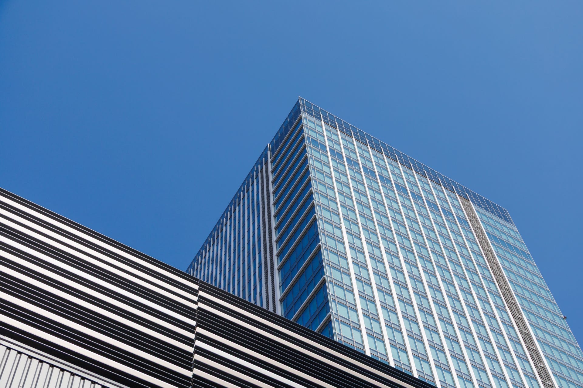 Lookup vs Validation: Why Your App May Not Need a Company Registry API