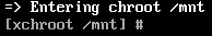 entering chroot output