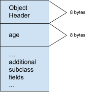 8 bytes of object header, followed by 8 bytes of `age` field, followed by additional subclass fields.