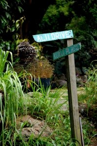 hawaii street sign