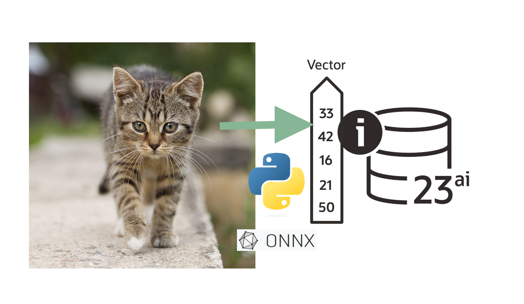 Fun with vectors, python and images in Oracle 23ai