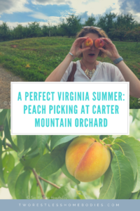 peach picking at carter mountain orchard