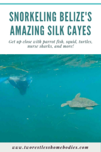 Snorkeling Belize's Silk Cayes Two Restless Homebodies