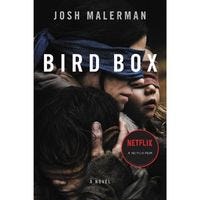 bird box book review