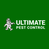 Pest Exterminator Near Rochester, NY