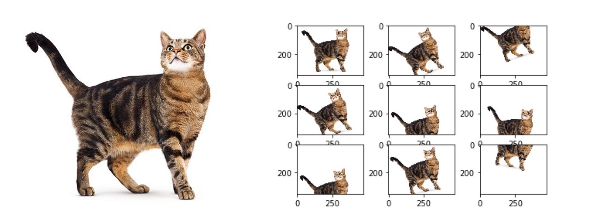 Exploring Data Augmentation Techniques for Image Datasets