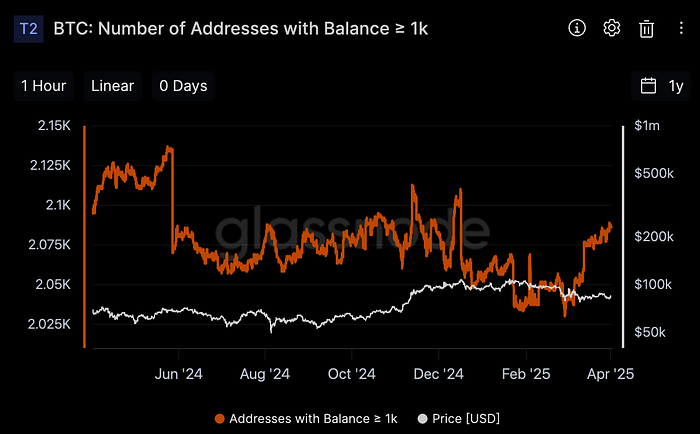 Number of Bitcoin Wallets Holding More Than 1k (Source: Glassnode)