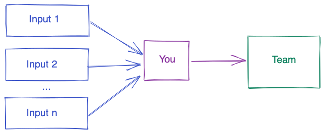 Schema of you as a filter between inputs and the team