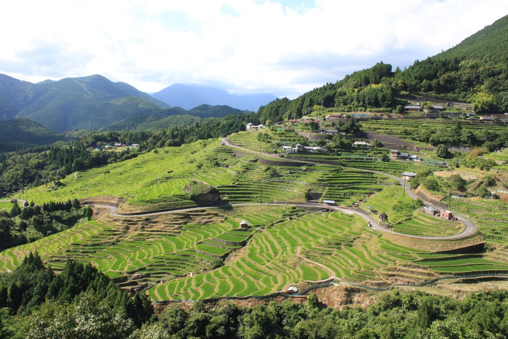 5-most-beautiful-rice-field-terraces-in-japan-japan-travel-guide-jw