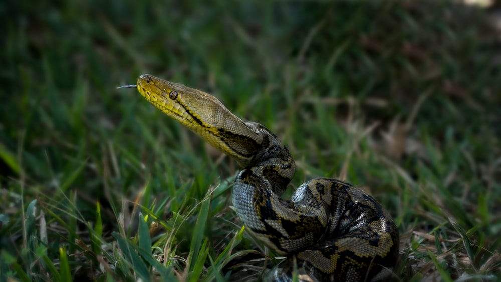 Photo by George Stewart on Unsplash