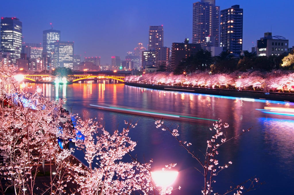 Top 5 Spots for Cherry Blossom Night Viewing JW  Magazine